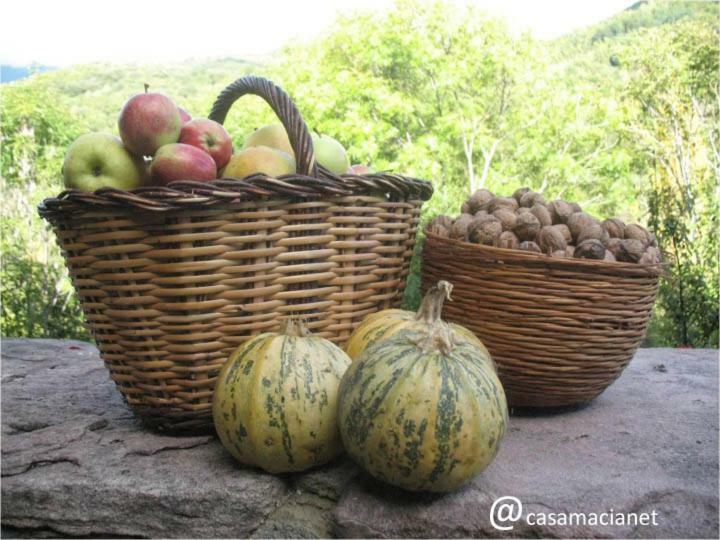 Casa Macianet Bed & Breakfast Beranui Luaran gambar